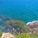 A shoreline with trees and rocks at Beowa National Park in Eden, New South Wales, Australia